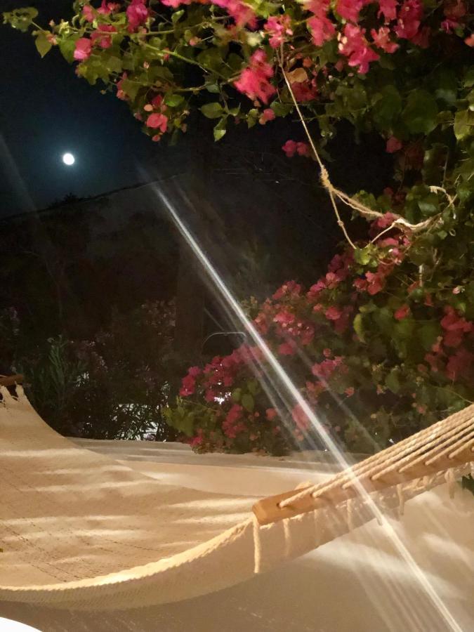 The Summer Pink House * Lachania